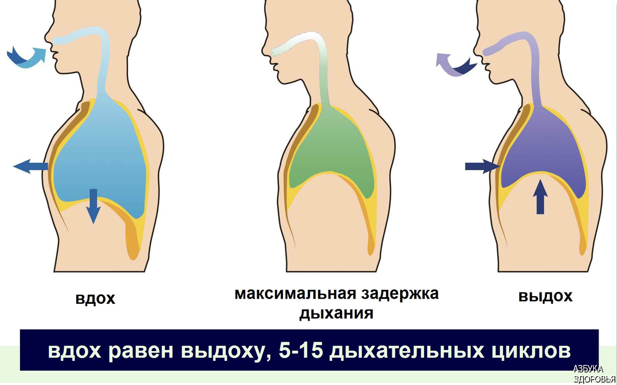 Тяжелое прерывистое дыхание. Вдох задержка выдох. Вдох задержка дыхания выдох задержка дыхания. Задержка дыхания на выдохе. Задержка дыхания на полном выдохе.