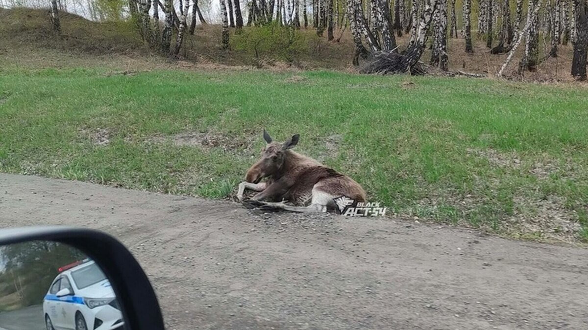 Ноги из под кровати