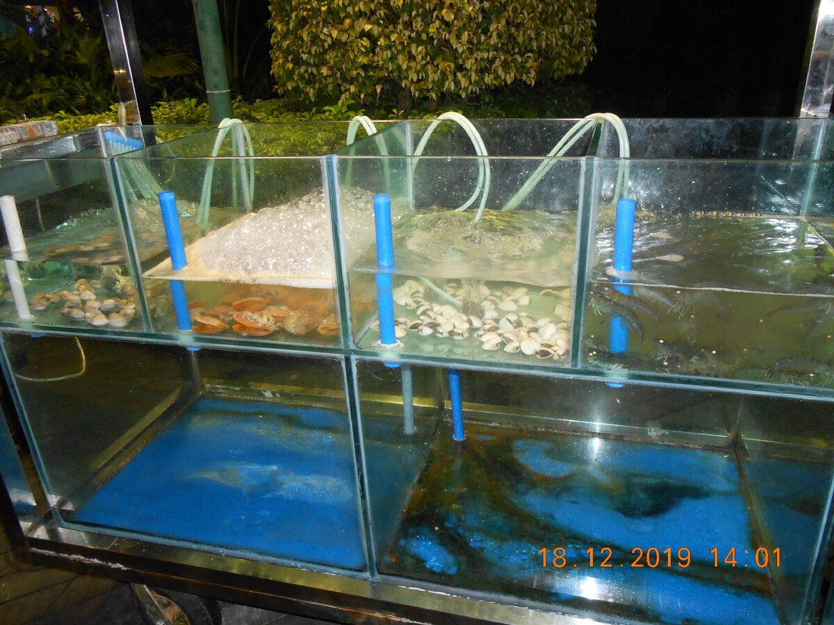 Китай Интайм 