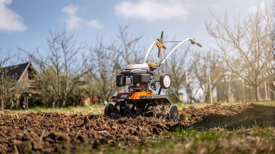 ShutterStock/Fotodom.ru