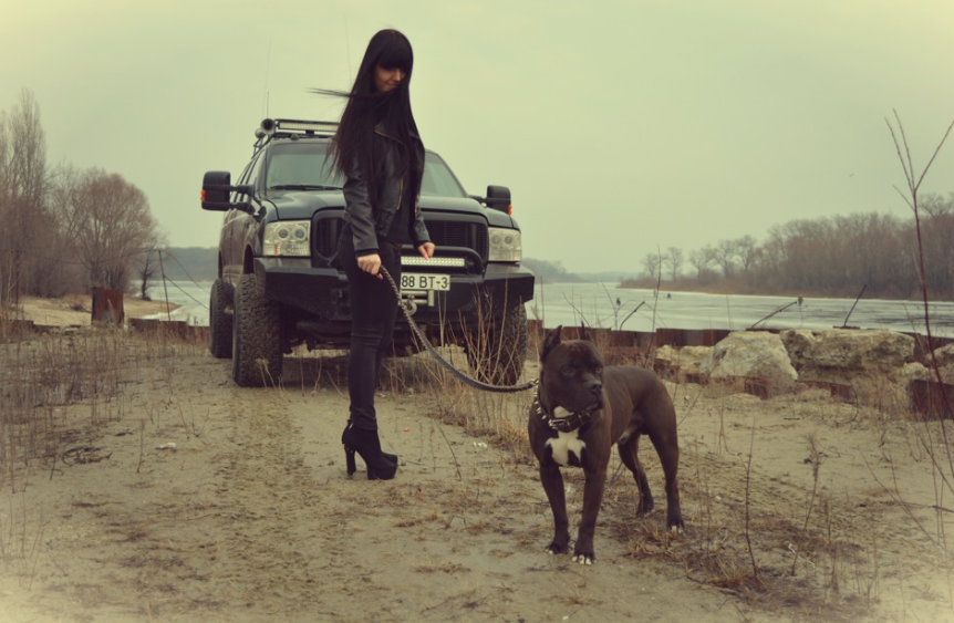 Девушка с собакой, иллюстративное фото из Яндекс.Картинок