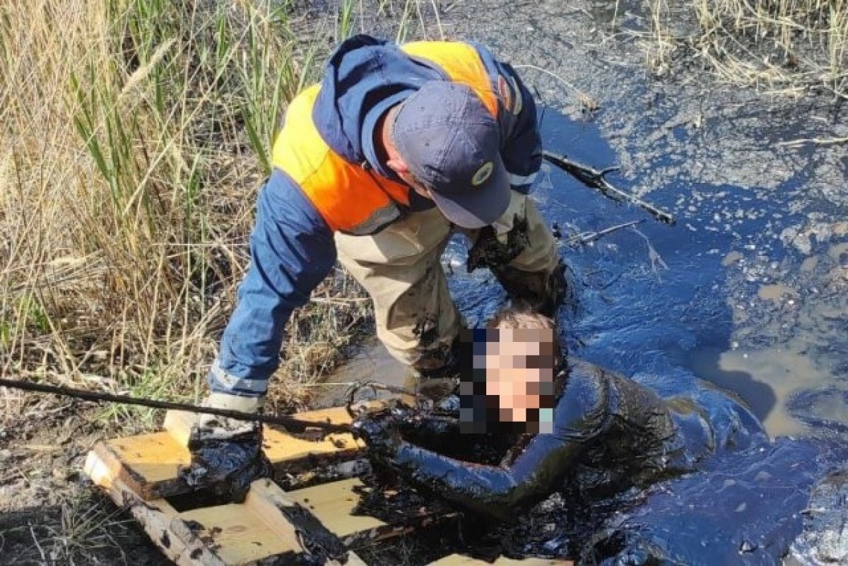    Жительница Челябинской области по горло провалилась в битум, спасая козу