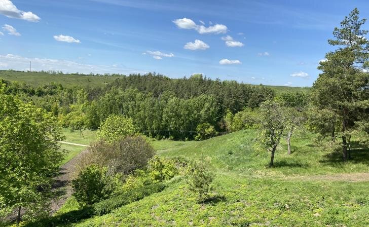    фото из архива Курских известий