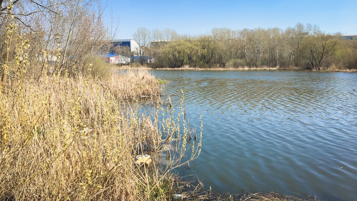     Роспотребнадзор выявил в реке Дон микробное загрязнение, превышающее норму. Ростовчанам порекомендовали воздержаться от купания на городских пляжах. К этому совету надо обязательно прислушаться, сообщил RostovGazeta эколог Алексей Лебедев.