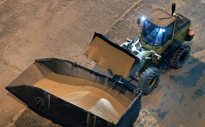    © Виталий Аньков/РИА Новости