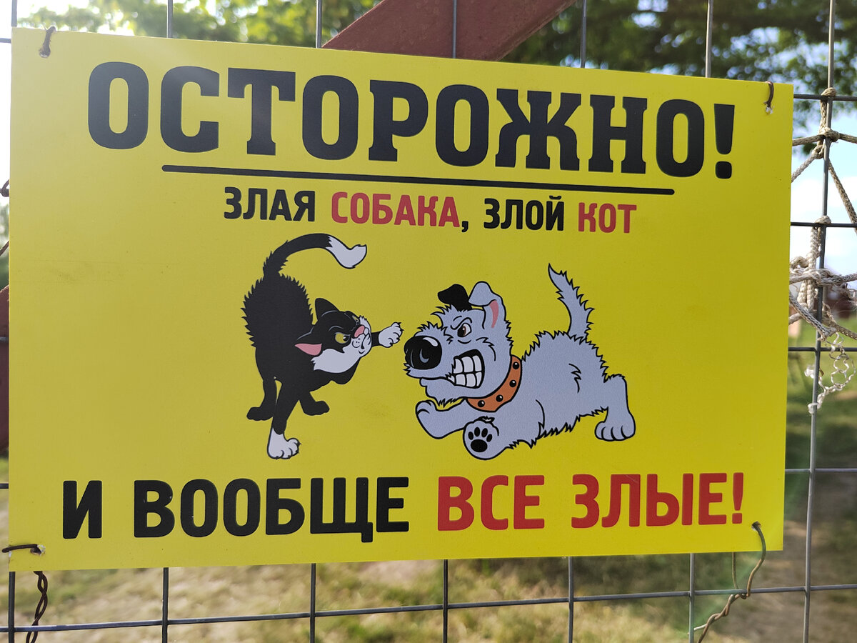 Осторожно! Злая собака, злой кот и вообще все злые | От счастья до рака ...