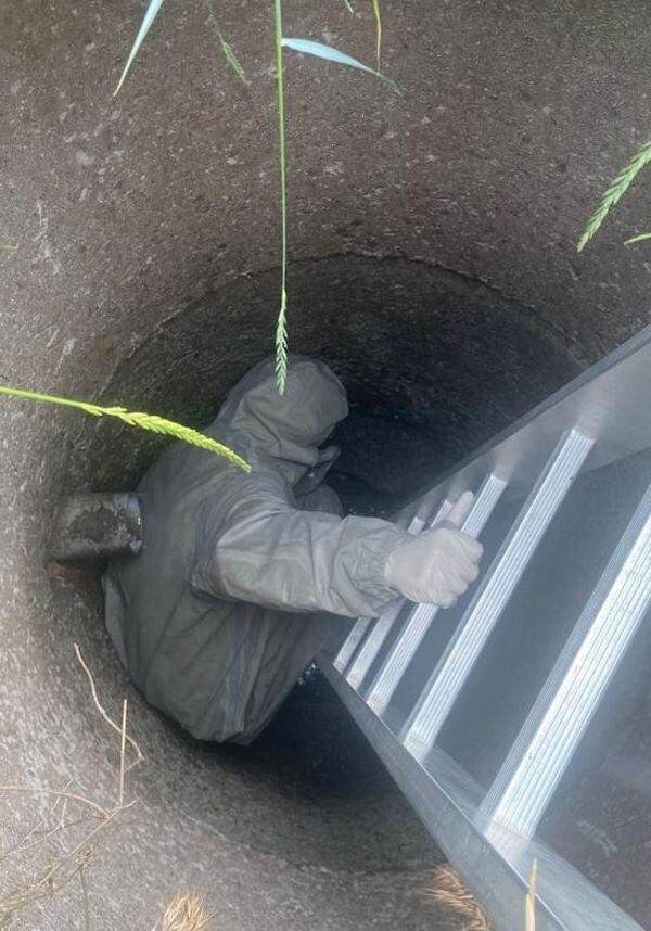 8Wan4ghYvPQ.jpg Источник фото: vk.com/novosh_gochs