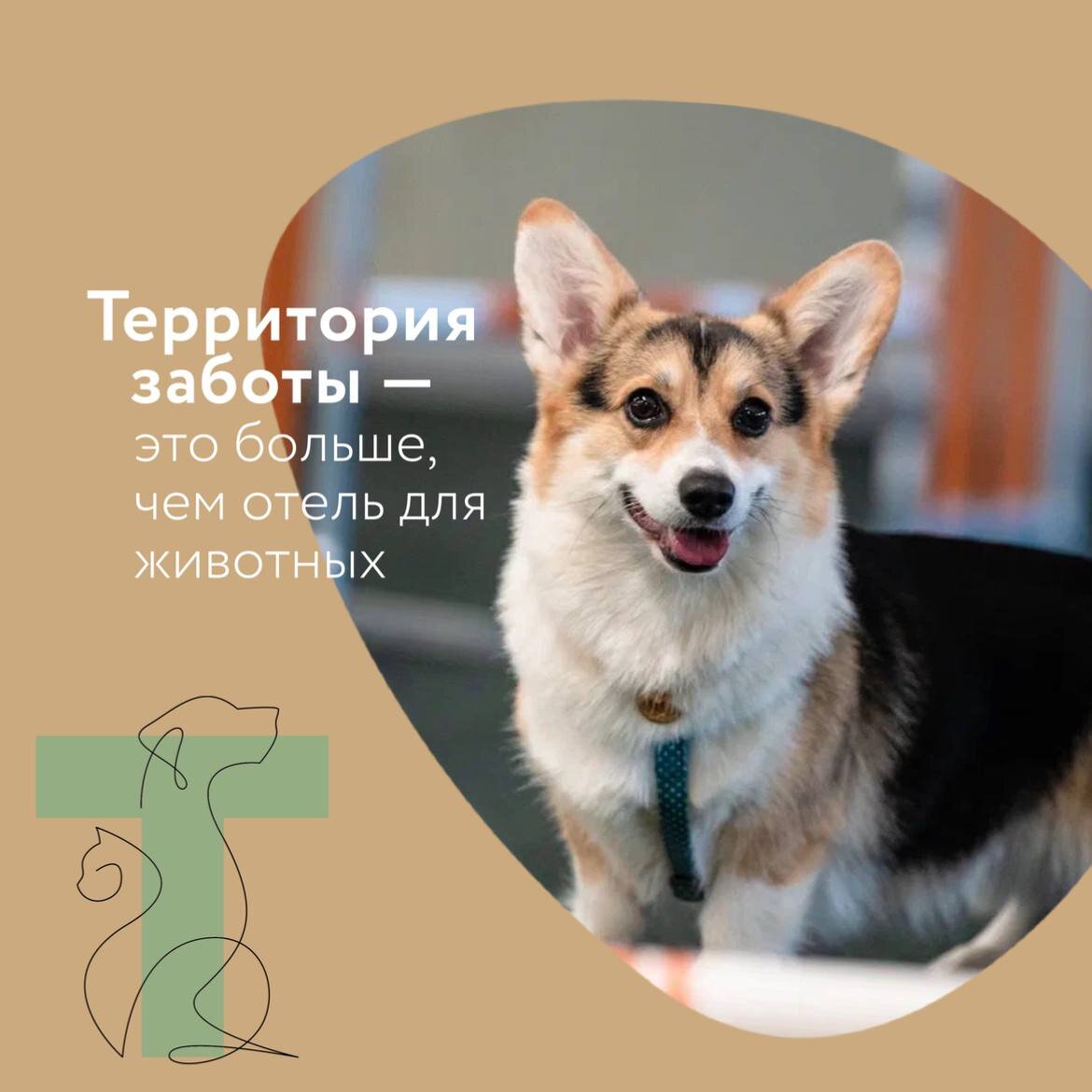 Школа территория заботы - картинки. Территория заботы москва. Территория заботы москва. Территория заботы. Забота логотип.