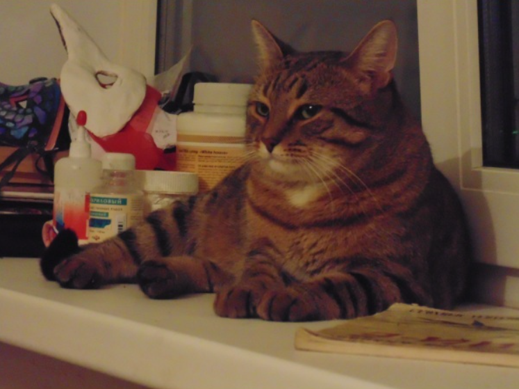 Фото пользователя «Пикабу» с ником Babuskofob