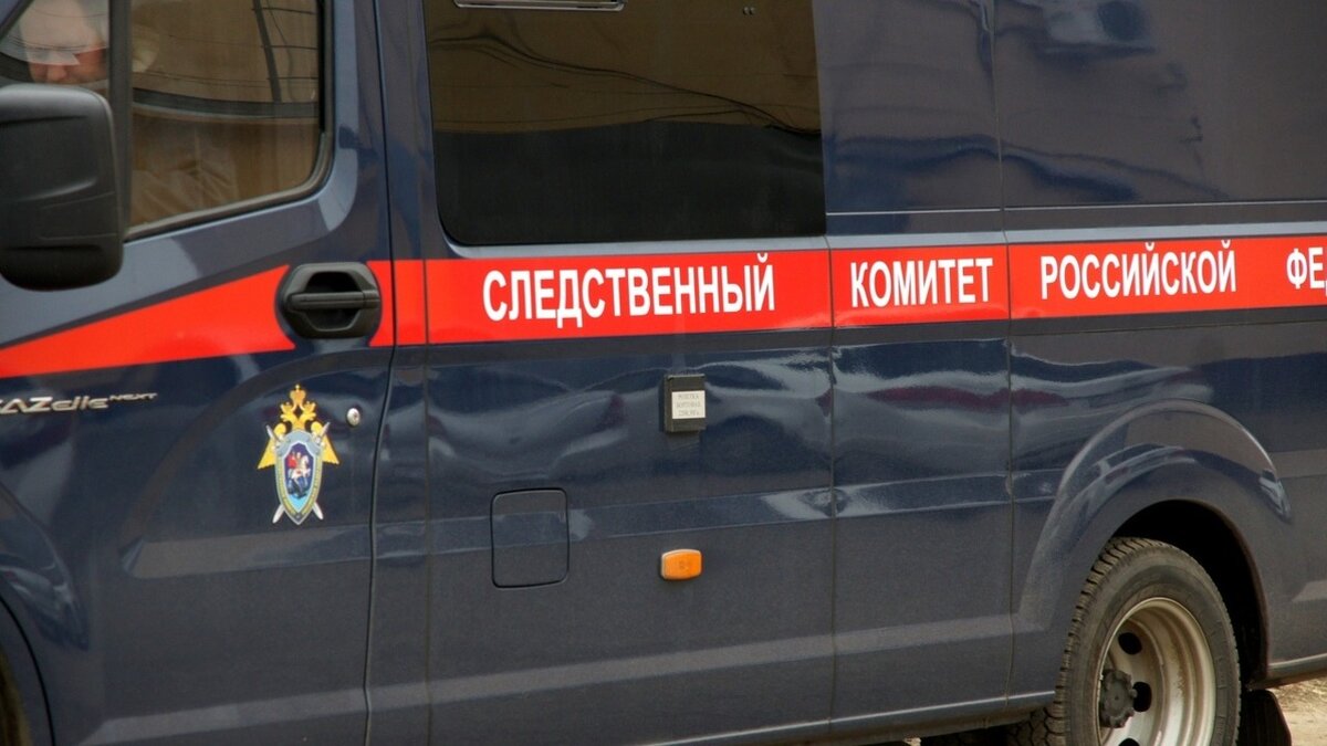     Следственный комитет возбудил уголовное дело на экс-замминистра экологии Красноярского края и бывшего начальника краевого учреждения «Лесной охраны». Их подозревают в превышении должностных полномочий.