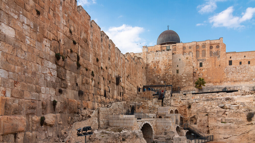    Фото: Shutterstock