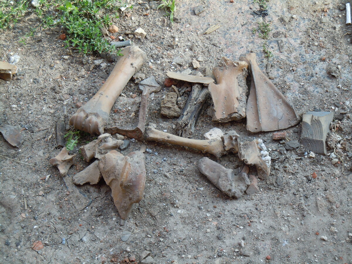 Продолжим экскурсию по кремлю. Это взгляд через стройку фуникулёра на участок с Часовой башней.-50