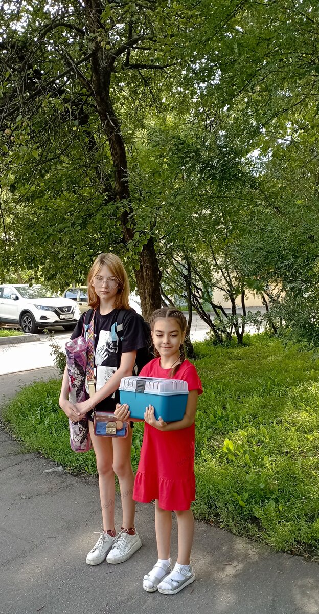 31.07.2023 г. К десанту на природу готовы! Барышни мои. Фото моё.