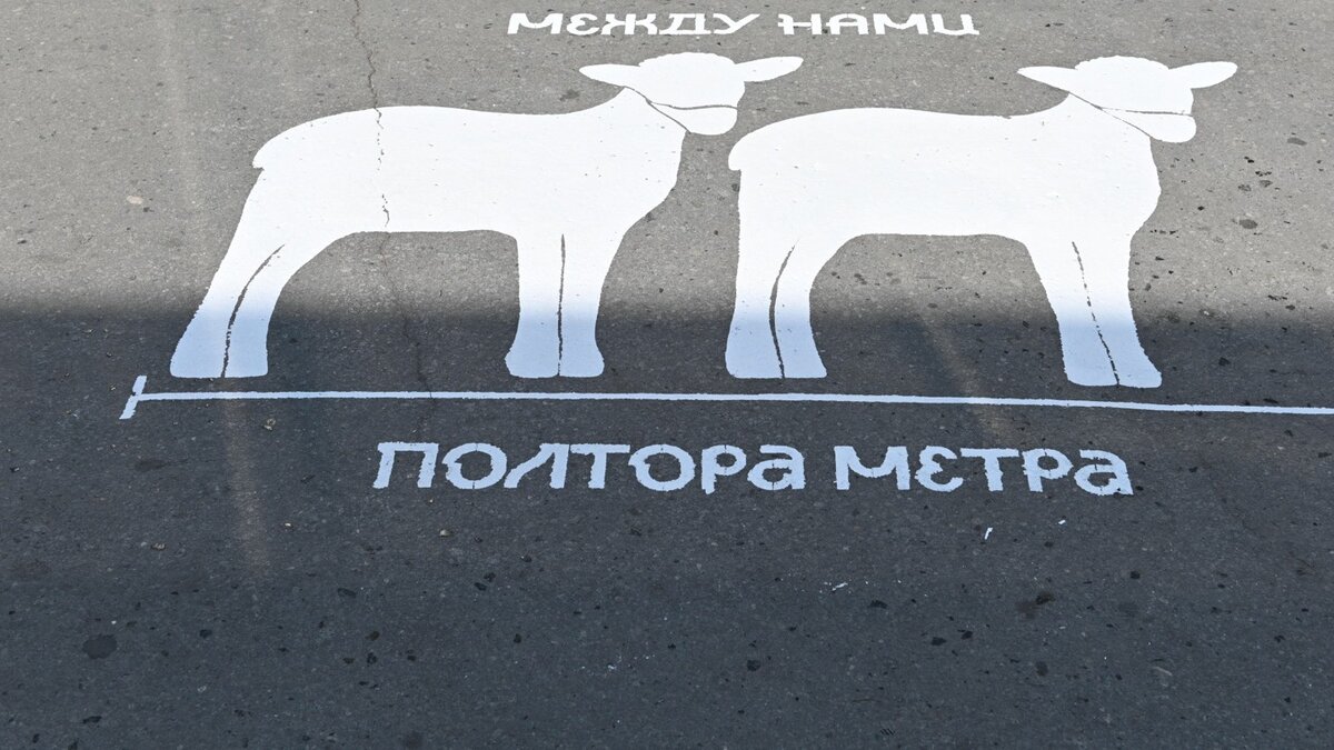 Яндекс.Картинки