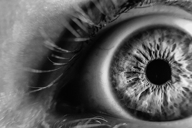 Источник: https://pixabay.com/