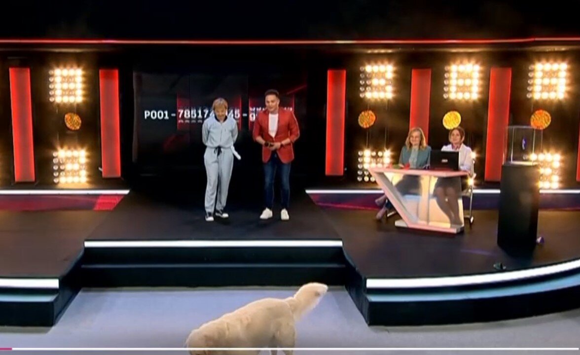 Скриншот YouTube