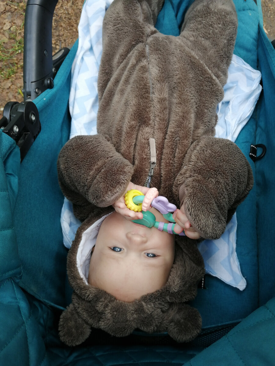 Милый костюм медвежонка отдали знакомые 