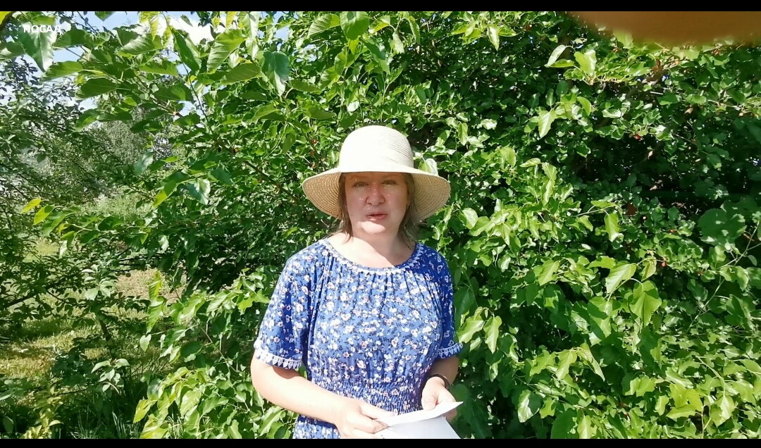 Отвечаю на вопросы. Скриншот из видео.