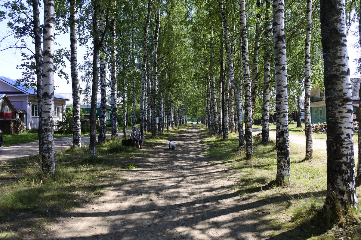 Весьегонск. Город-пристань, город-дача. | Размагниченные и влажные билеты |  Дзен