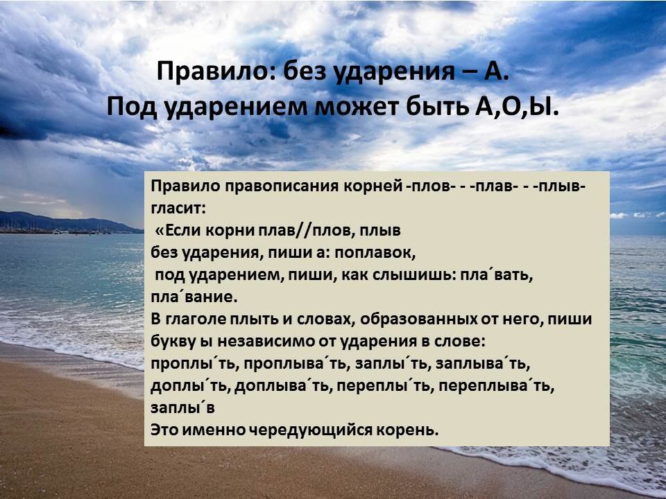 Пловец плав плов. Пловец пловчиха правило. На плову или на плаву. На плову или на плаву. Плав плов.