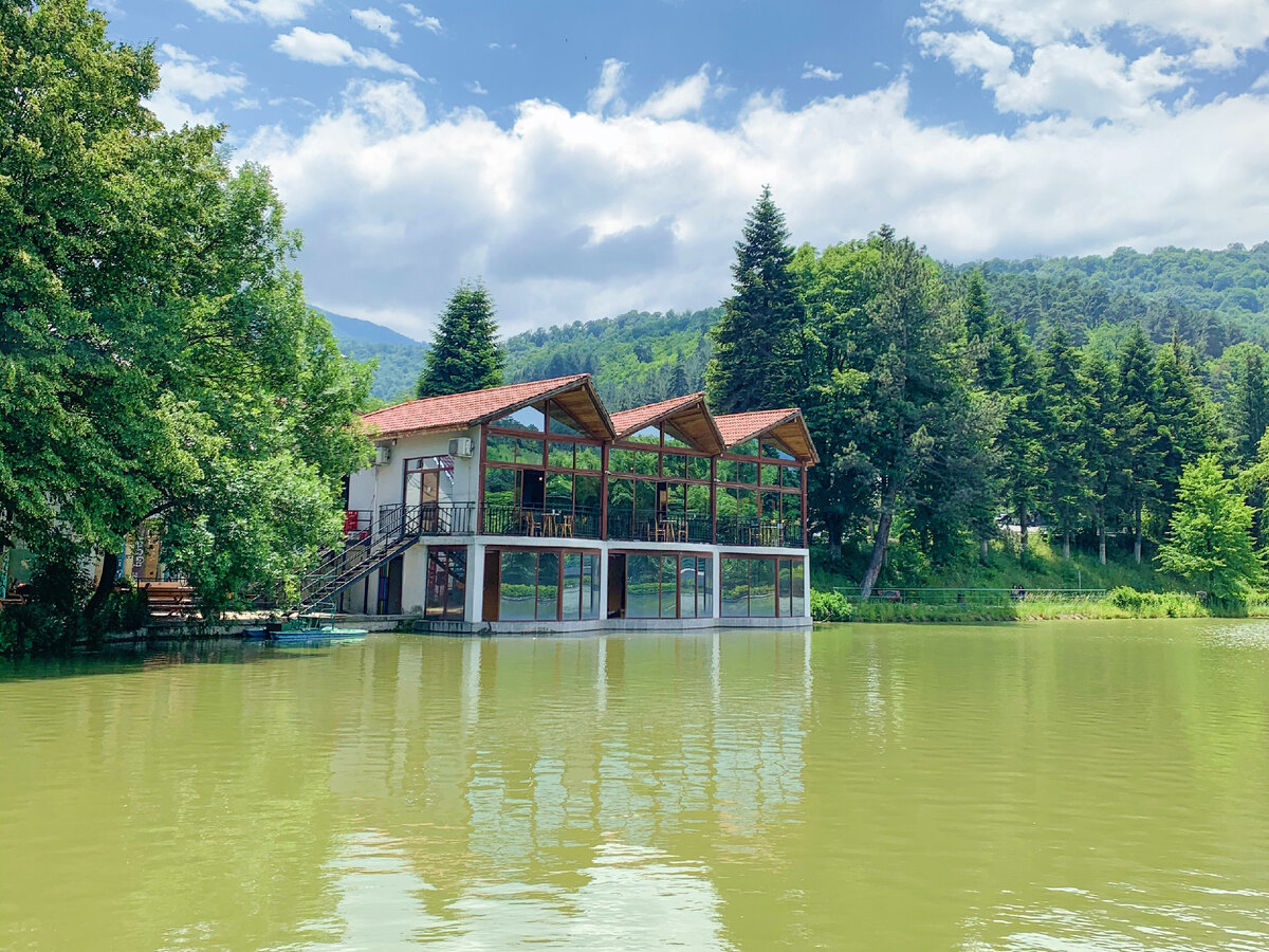 "Кажется, что горы окутывают и оберегают эту долину живой любовью и нежностью" (Максим Горький о городе Дилижан)