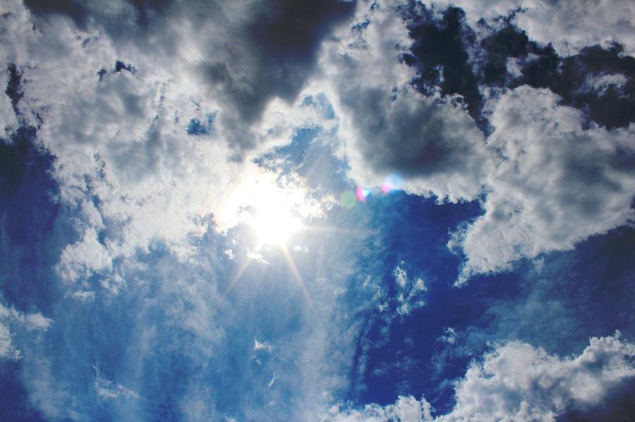 Фото: pixabay.com