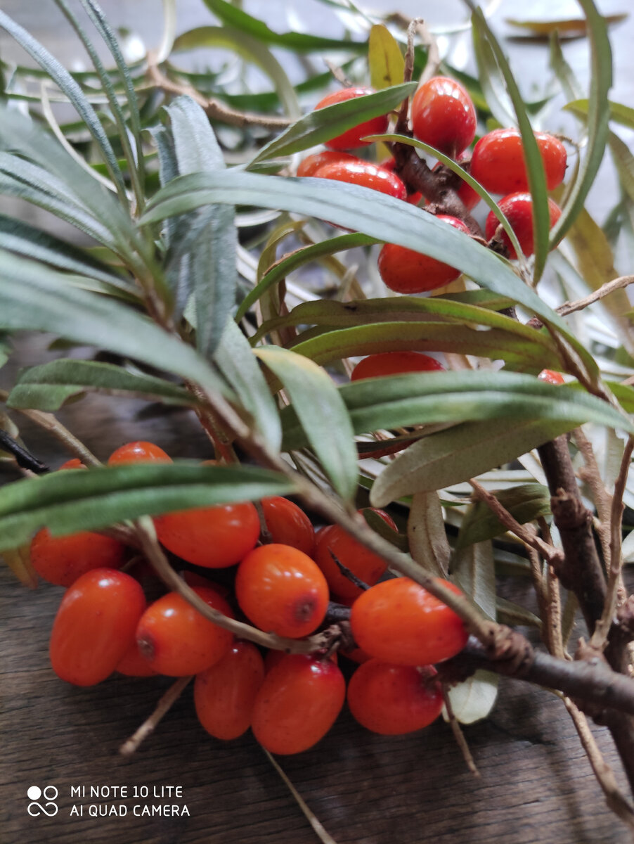 Последняя.  Уже и её съела.