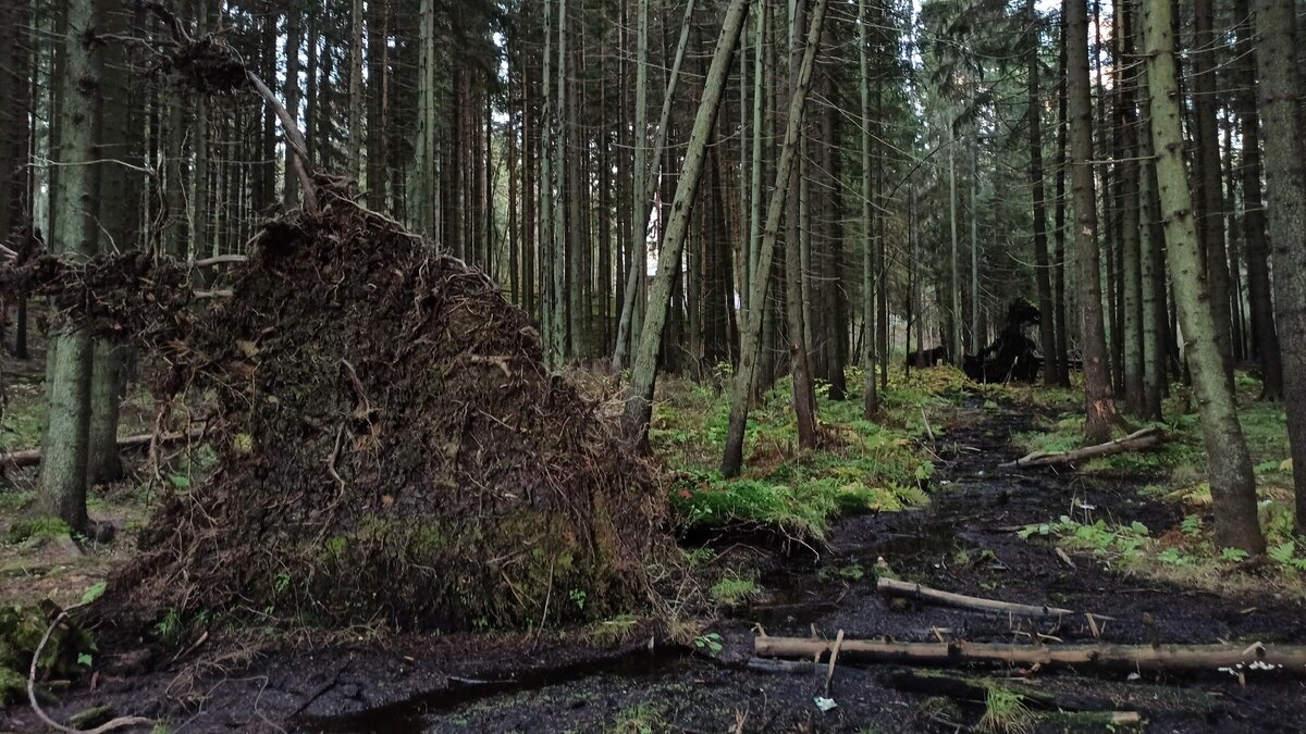 Подборка красивых пейзажей, которые вы встретите на тропе Здоровья
