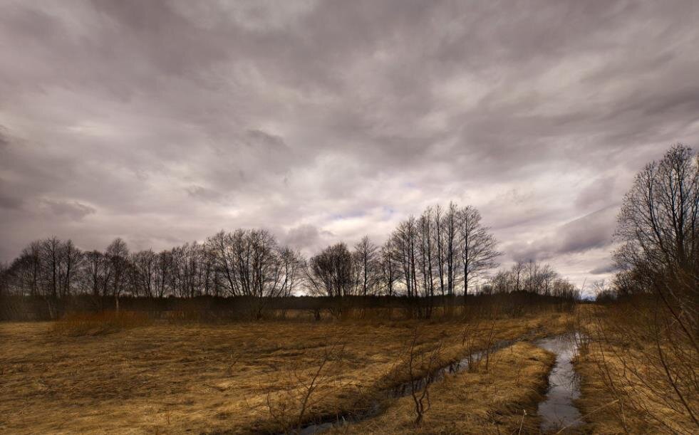 Фото — orenburzhie.ru