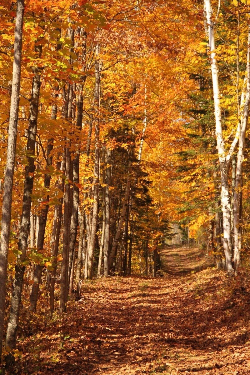 из открытого источника