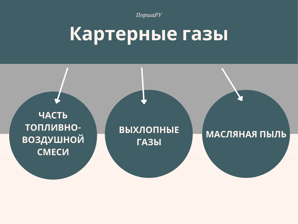 Мембрана ВКГ Порше | Порша Ру | Дзен