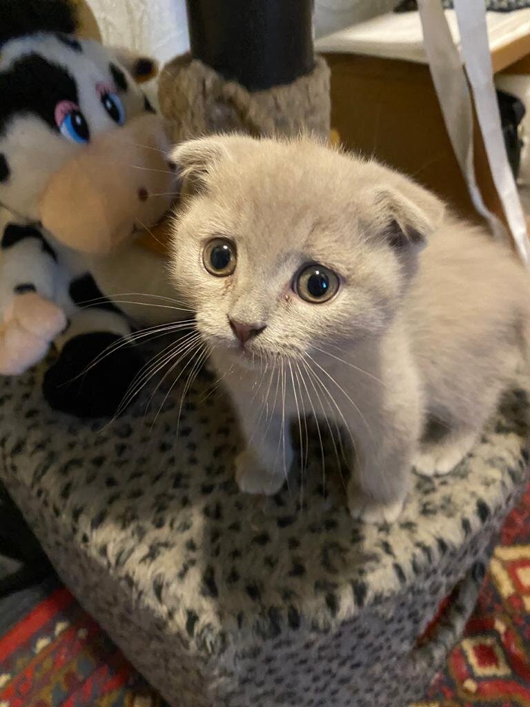 Таким мы его взяли в мае
