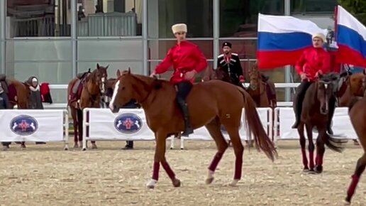 Магия верховой езды на лошади без уздечки и седла