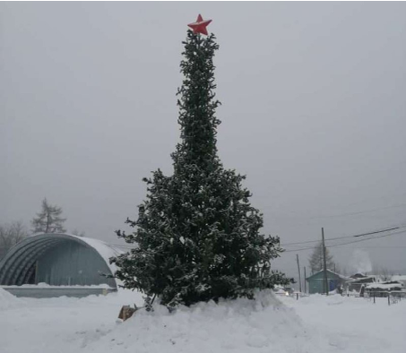 https://www.mk.ru/social/2021/12/07/zhiteley-yakutskogo-poselka-smutila-fallicheskaya-elka.html