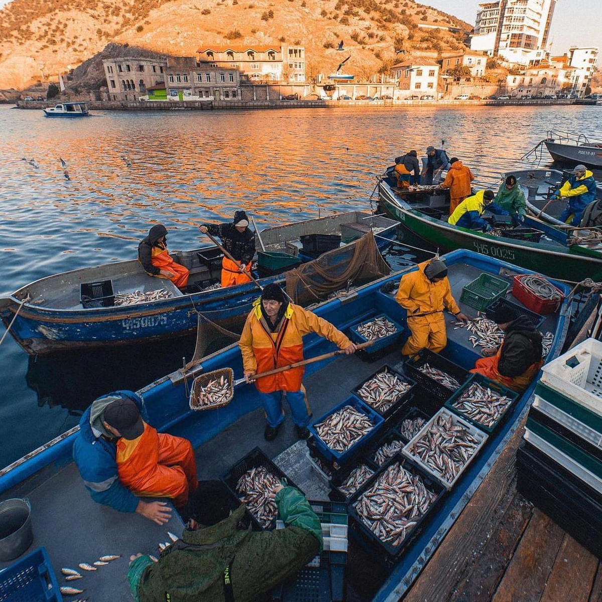 Промысловые суда на рассвете выходят на рыбную ловлю вот уже 2500 тысячи лет!