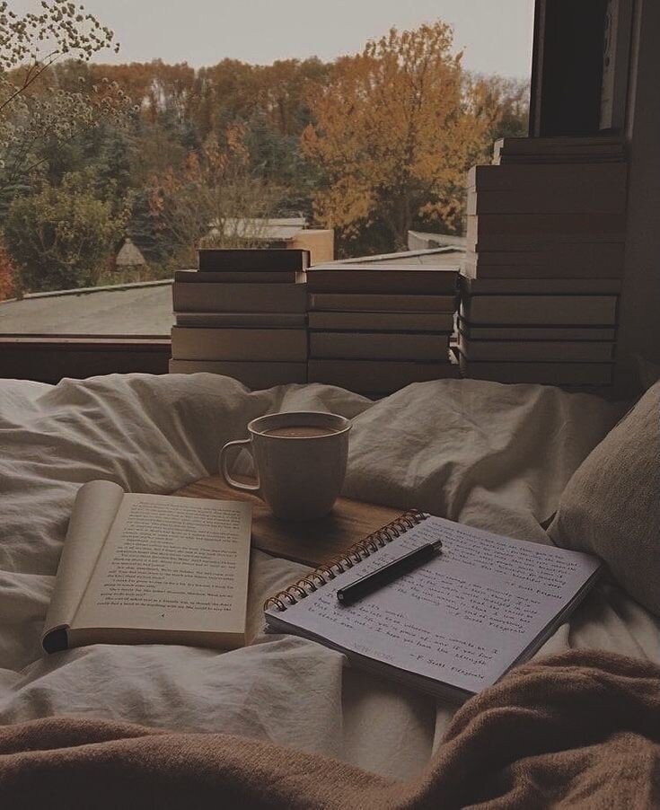Просто красивое фото. Эстетика чтения!
