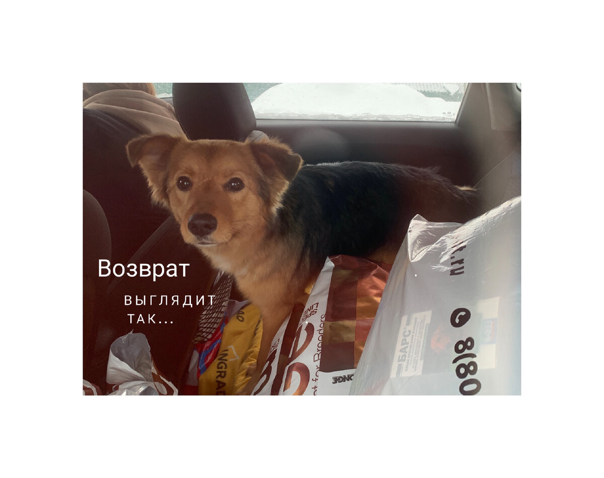 Коллаж- собственность канала