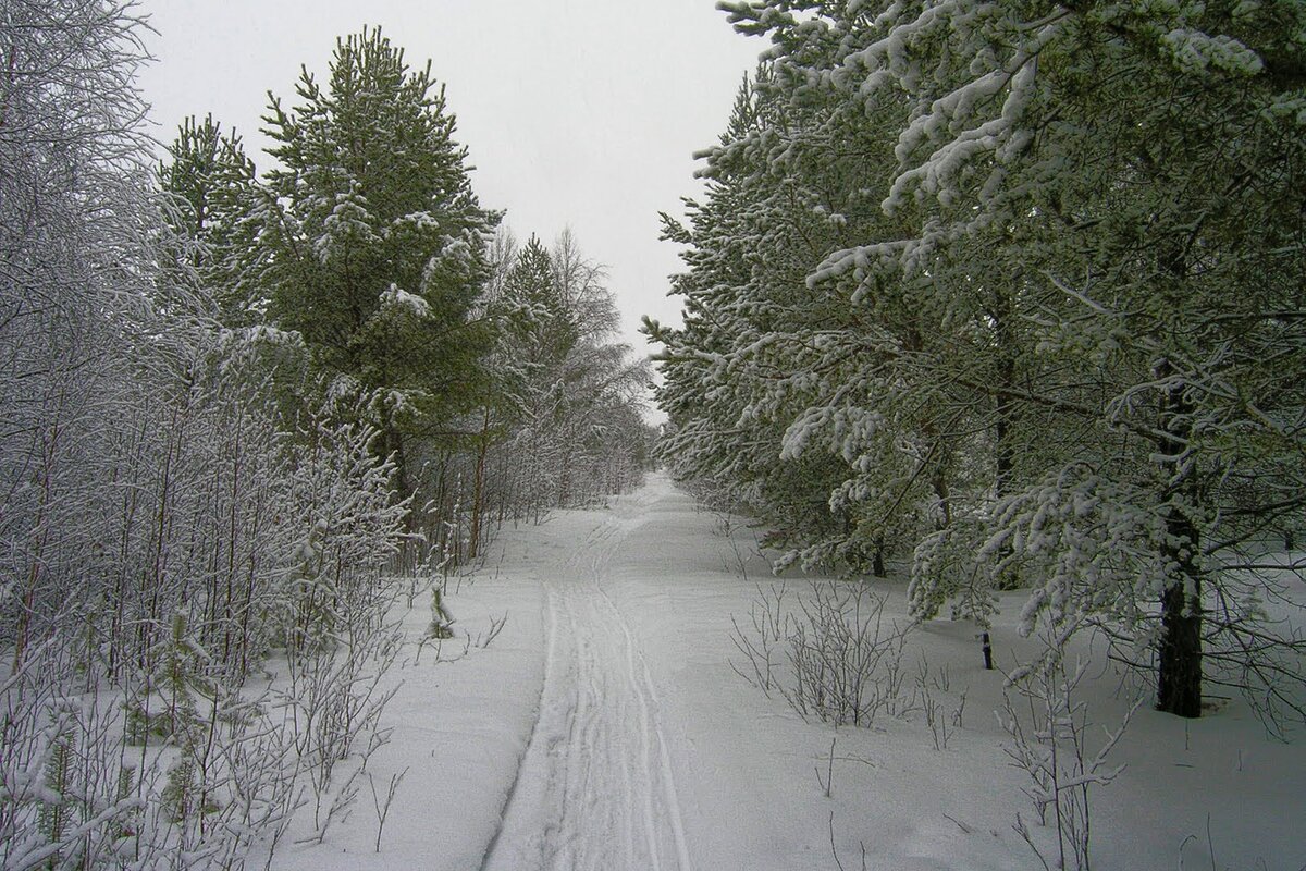 Тропа между Уймой и Строителем