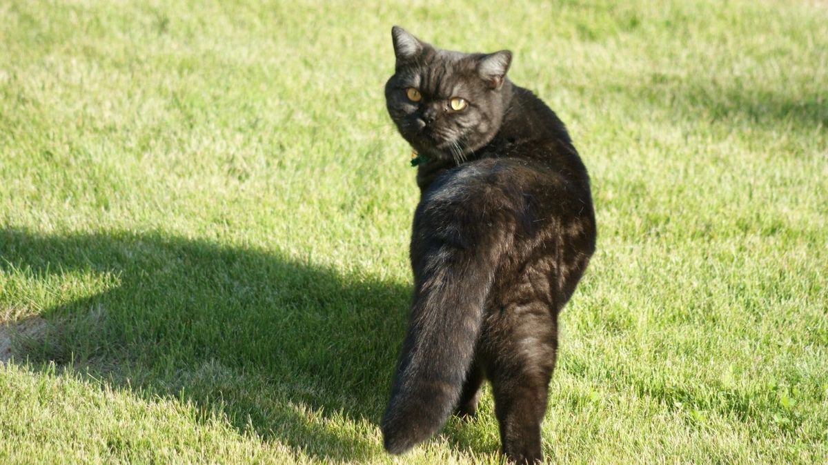 Перед погружением.