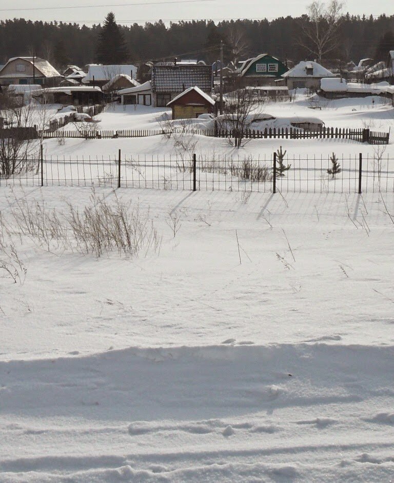 Февраль на моей даче. Снегу в этом году выпало на радость садоводам очень много!
