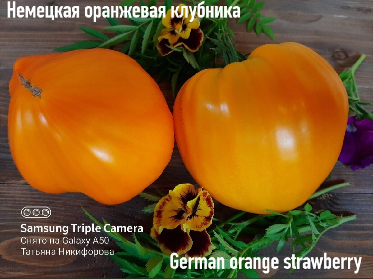 German Orange Strawberry томат