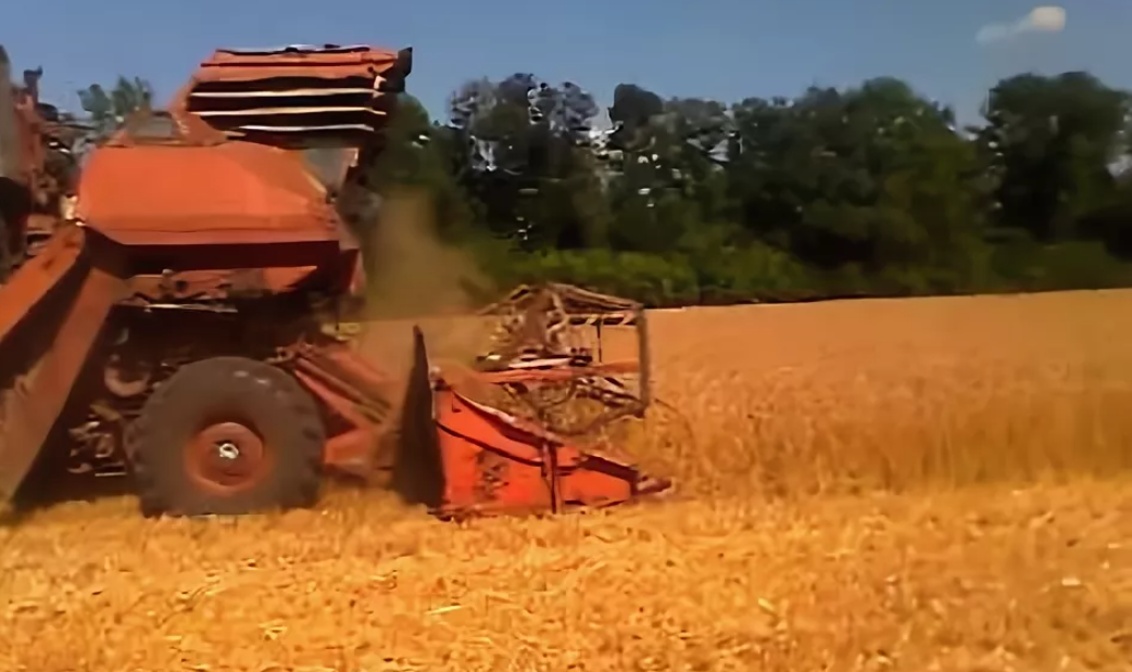 allspectech.com. Фото с Яндекса. СК–6 "Колос" в загонке.