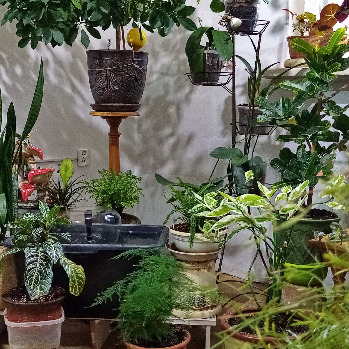 Мой уютный уголок с фонтанчиком.