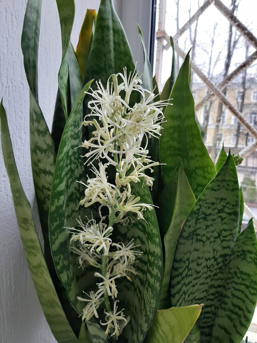 Личное фото