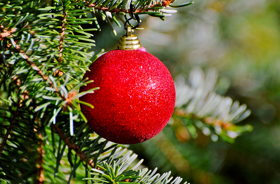 Иллюстрация: pixabay