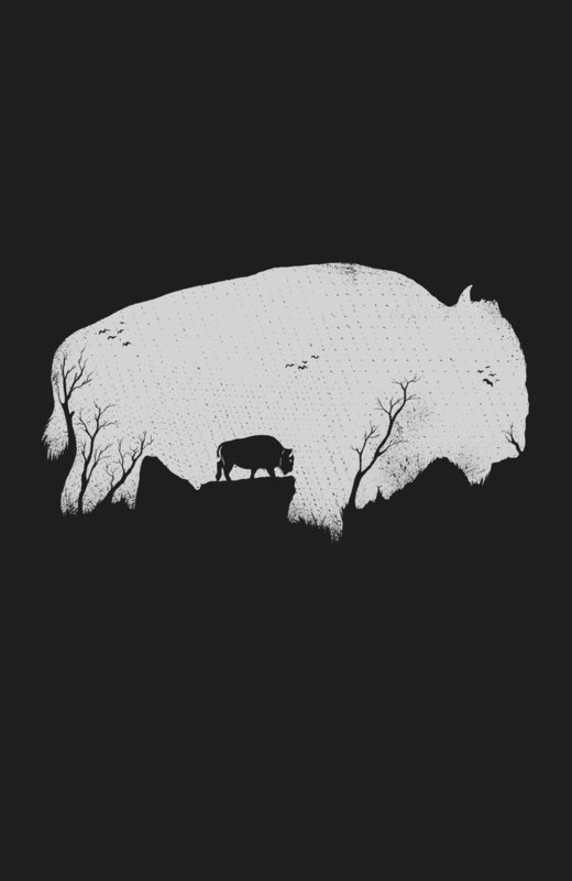 хороши зубры на одной земле Белоруссии с Польшей.