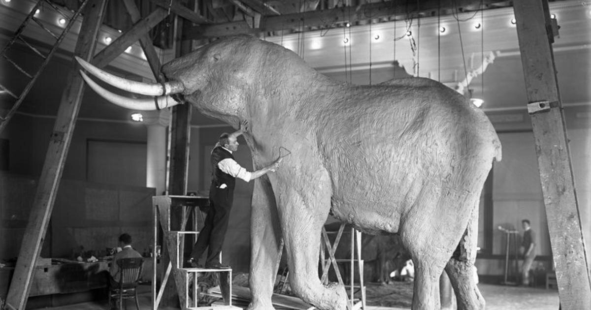 Таксидермист Карл Эйкли за работой