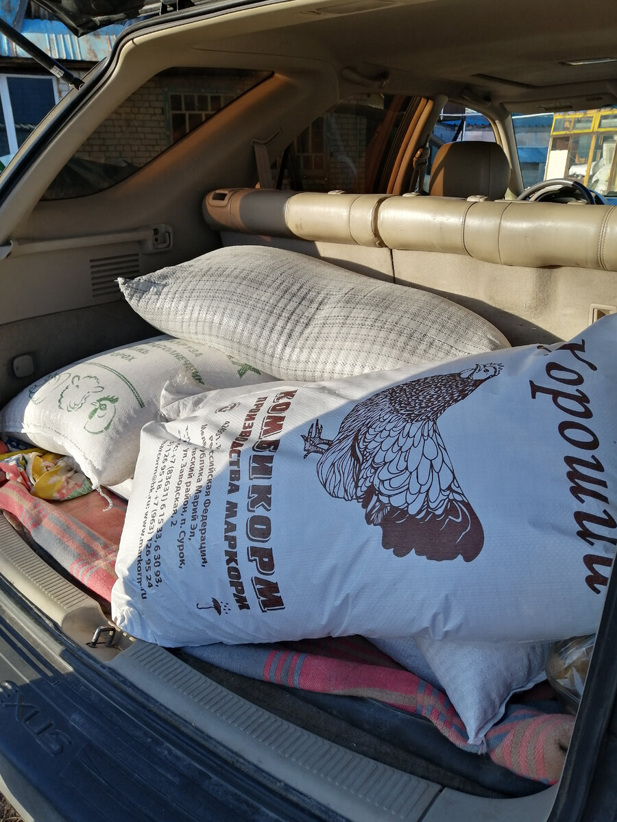 Нашим животным. 