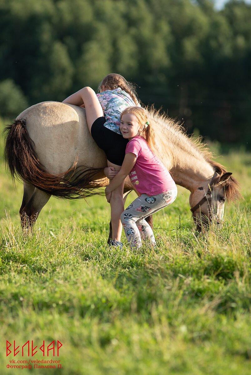 пони - само спокойствие :)
