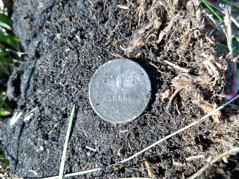 Коп находки. Город находка улица портовая. Пиритизированное окаменелое дерево. Наутилус аммонит белемнит. История города находка приморского края.